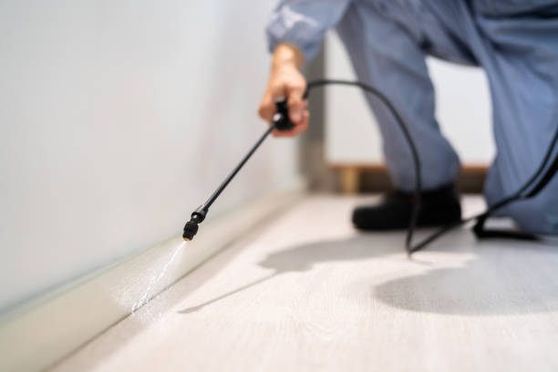 Licensed Termite Control service in Yale, OK - Nex Pest Control