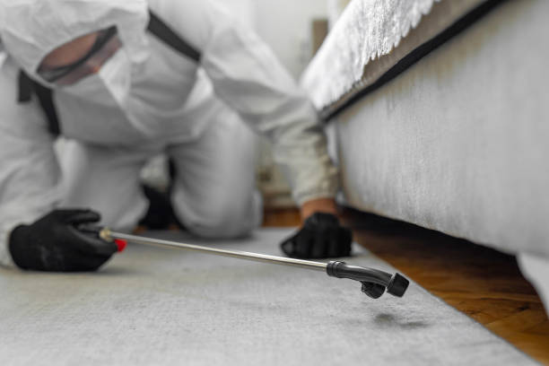 Professional Termite Control technician working in Yale, OK