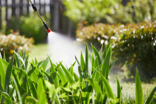 24/7 Emergency Termite Control experts in Yale, OK