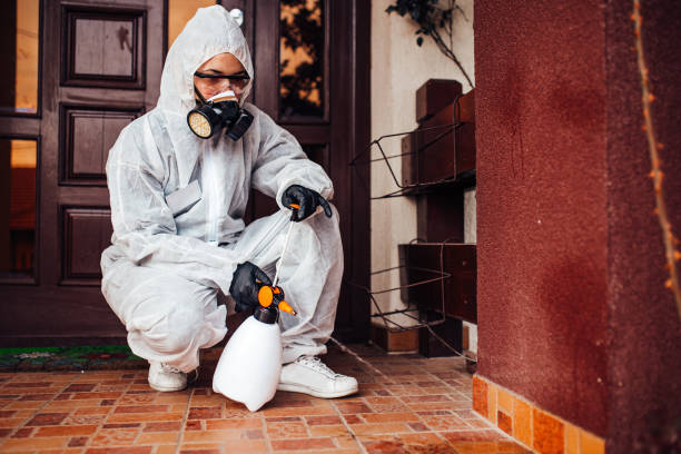 Reliable Termite Control contractor in Yale, OK by Nex Pest Control