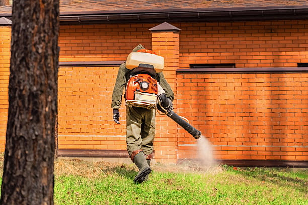 Top rated local Termite Control specialists in Yale, OK